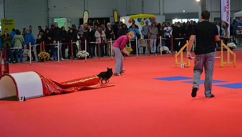 Amandine et Enora