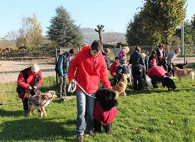 Eros, Terre-Neuve