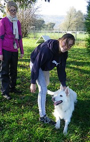 Bahia, berger blanc suisse